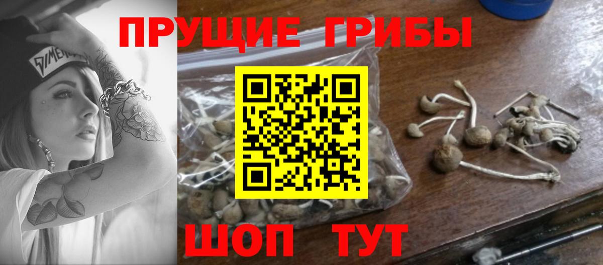 Галлюциногенные грибы мухоморы  наркотики  Псилоцибиновые грибы GOLDEN TEACHER  Белово  Вход с VPN 