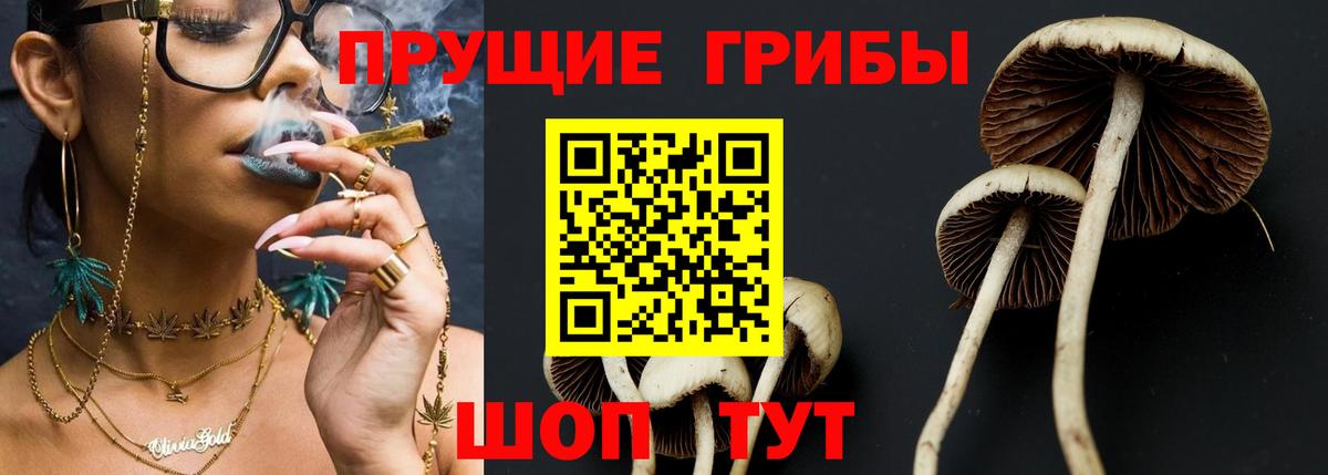 Галлюциногенные грибы прущие грибы Белово